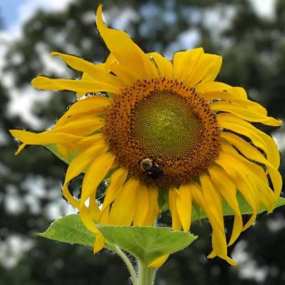 Meet your Posher, Donna - Picture 1 of 1